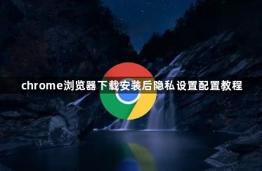 chrome浏览器下载安装后隐私设置配置教程1