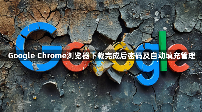 Google Chrome浏览器下载完成后密码及自动填充管理1