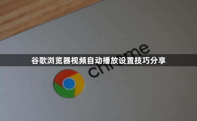 谷歌浏览器视频自动播放设置技巧分享1