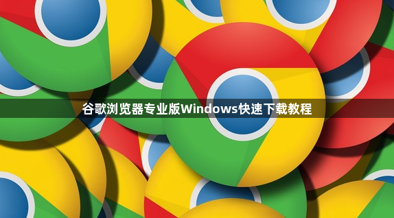 谷歌浏览器专业版Windows快速下载教程1