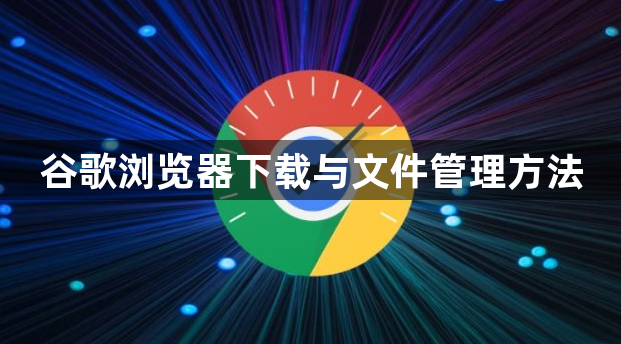 谷歌浏览器下载与文件管理方法1