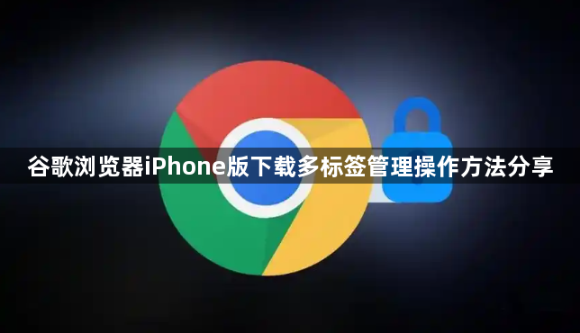 谷歌浏览器iPhone版下载多标签管理操作方法分享1