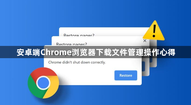 安卓端Chrome浏览器下载文件管理操作心得1