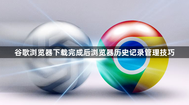 谷歌浏览器下载完成后浏览器历史记录管理技巧1