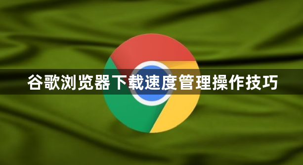 谷歌浏览器下载速度管理操作技巧1