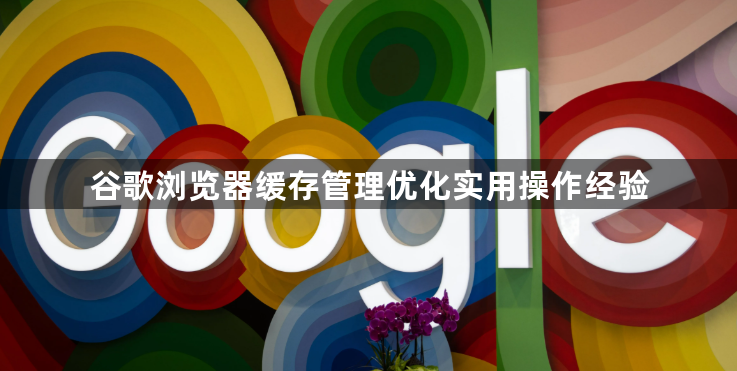 谷歌浏览器缓存管理优化实用操作经验1