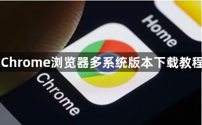 Chrome浏览器多系统版本下载教程1
