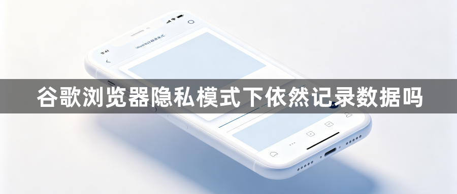 谷歌浏览器隐私模式下依然记录数据吗1